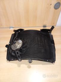 Radiatore honda cbr 600 rr 2007 2012