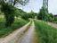 Immagine 18