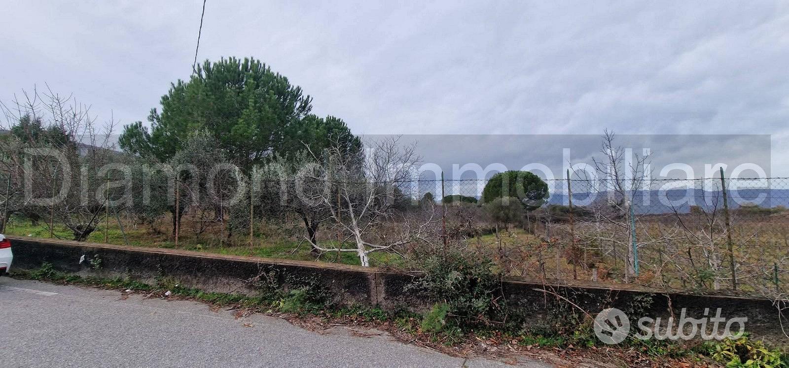 Vigneto in zona DOC a Castiglione di Sicilia - Vista 4