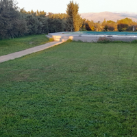 Loft tra gli ulivi con piscina