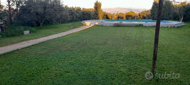 Loft tra gli ulivi con piscina