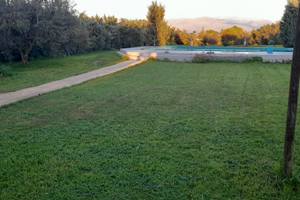 Loft tra gli ulivi con piscina