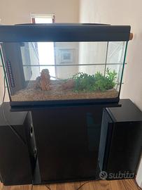 Acquario MTB Mod Aloha