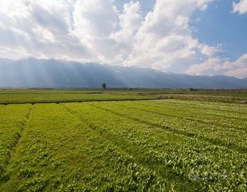 Terreno agricolo c.e.r.c.o