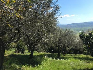 Maenza Terreno edificabile via della fontana