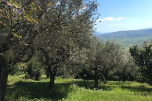 Maenza Terreno edificabile via della fontana