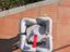 Immagine 6