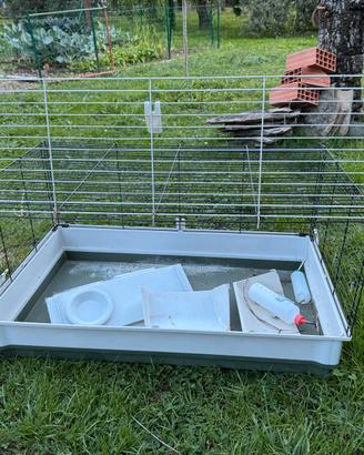 Gabbia coniglio