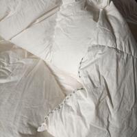 Trapunta matrimoniale in piumino d'oca