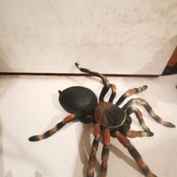 Tarantola Giocattolo Realistica