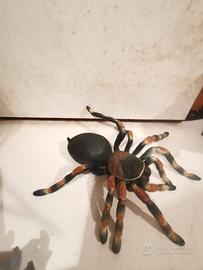 Tarantola Giocattolo Realistica