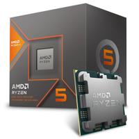 Ryzen 5 8600G