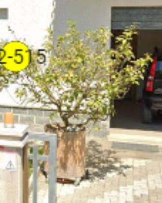 Immobile in asta di 11 m² con 1 locale a Monterubb