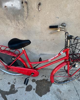 Bicicletta