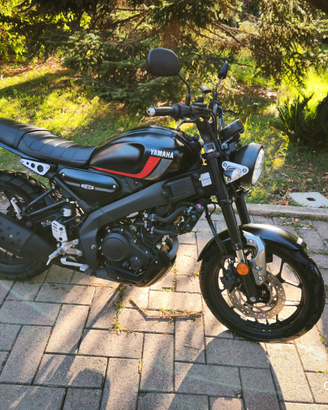Yamaha xsr125 2022