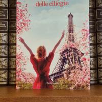 Nicolas Barreau, Il Tempo delle Ciliegie