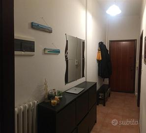 Libero da marzo bilocale zona ospedale