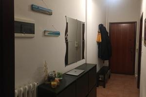 Libero da marzo bilocale zona ospedale