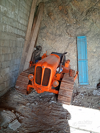 Fiat cingolato 451 montagna