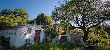 Casetta e Cantina con Terreno in Concessione