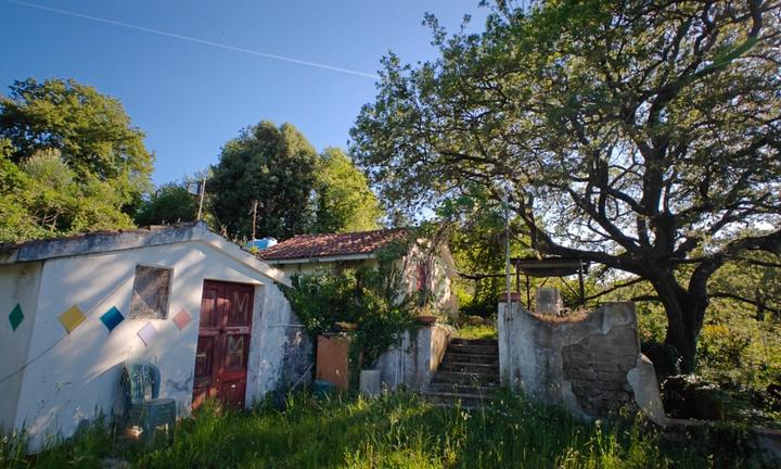 Casetta e Cantina con Terreno in Concessione