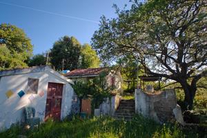Casetta e Cantina con Terreno in Concessione