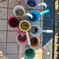 Vasetti da appendere di vari colori