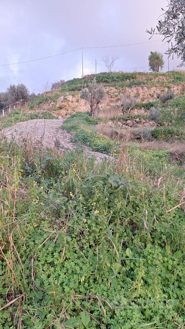Terreno edificabile di 1100 mq - Vista 2
