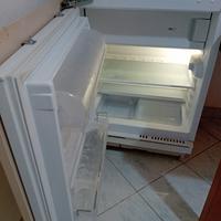 frigo con cella congelatore 