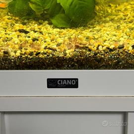 Acquario Askoll ciano 120