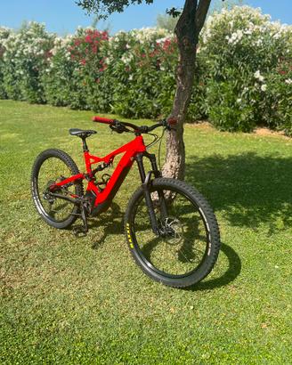 Specialized Turbo Levo, mtb,  ebike, emtb