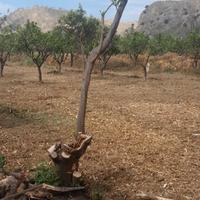 Terreno edificabile San Carlo di condofuri