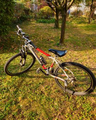 MTB marca Hornet 26" Ammortizzata, Cambio Shimano
