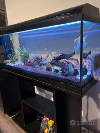 Acquario completo con mobile
