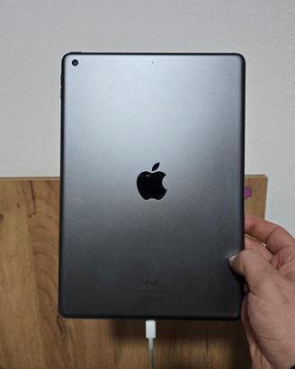 ipad 256 gb