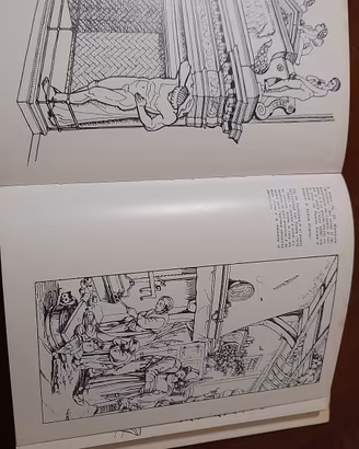 il libro dei camini e dei caminetti