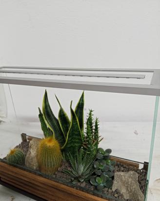 Terrario Led  Legno - Alluminio. Legno-Pvc Legno 
