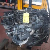 Motore T1DB Ford Focus 1.6HDI