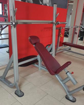 Panche Panatta Fit evo