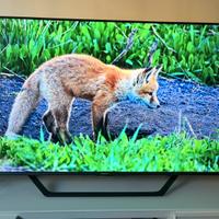 Hisense 55” QLED 4K 55A7KQ – Garanzia fino al 2029