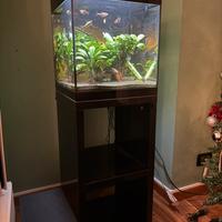 Acquario completo Askoll Pure LED+mobile+accessor