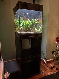 Acquario completo Askoll Pure LED+mobile+accessor