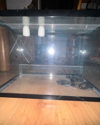 Teca/ terrario