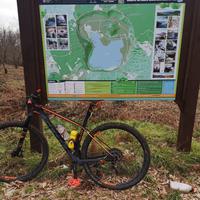 MTB scott 910 in carbonio M/29