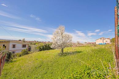 TER. AGRICOLO A ZAGAROLO