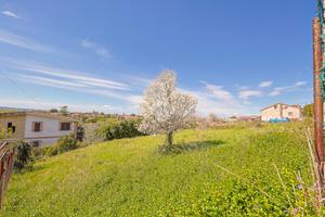 TER. AGRICOLO A ZAGAROLO