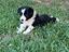 Immagine 4