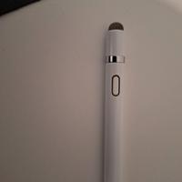 pen ipad compatibile