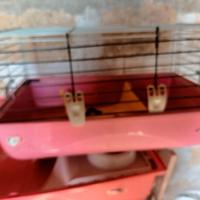 Gabbia cavie roditori 60 cm