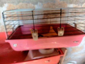 Gabbia cavie roditori 60 cm